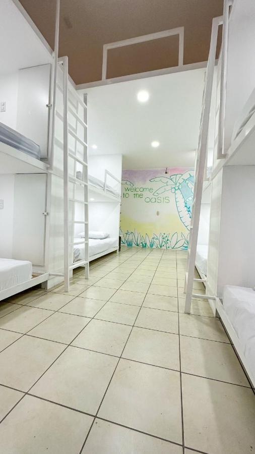 Sjo Oasis Hostel San José Esterno foto