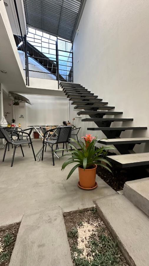 Sjo Oasis Hostel San José Esterno foto