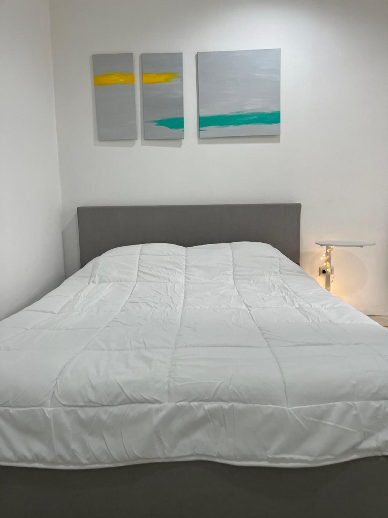 Sjo Oasis Hostel San José Esterno foto