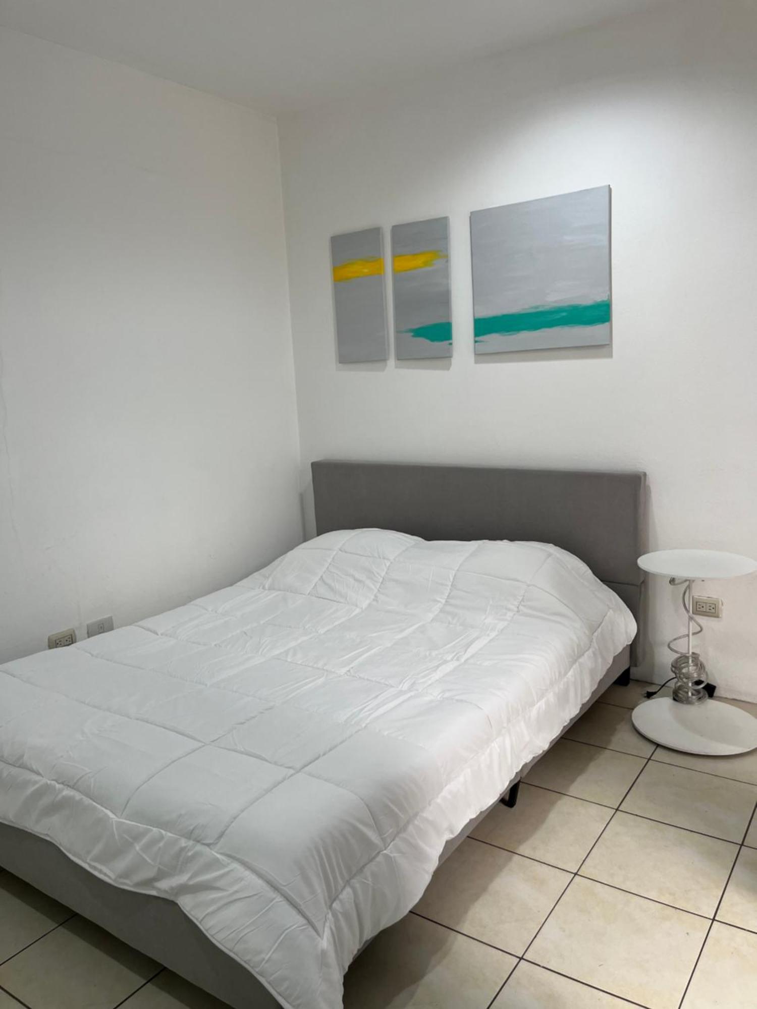 Sjo Oasis Hostel San José Esterno foto